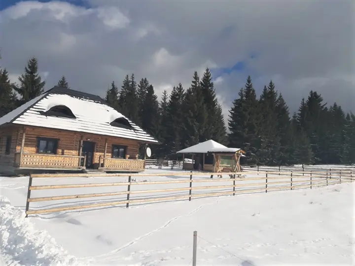 Cabana acoperită de zăpadă iarna, în Bucovina