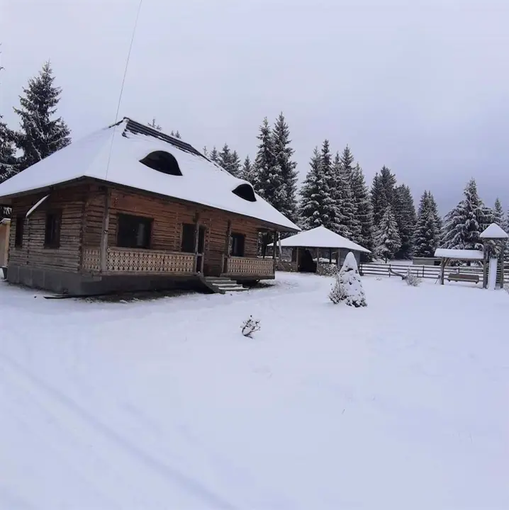 Curtea cabanei acoperită de zăpadă